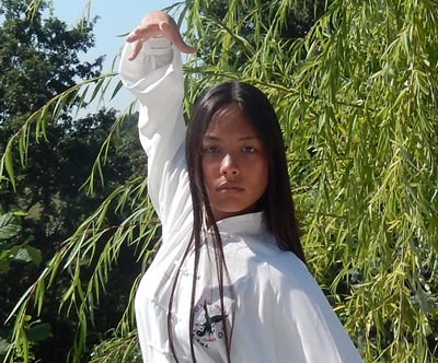 Nei Jia Kung fu